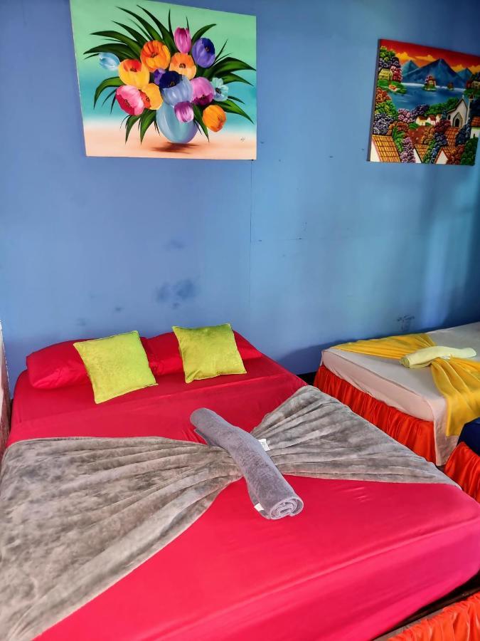 Cabinas Tortuguero Natural 외부 사진