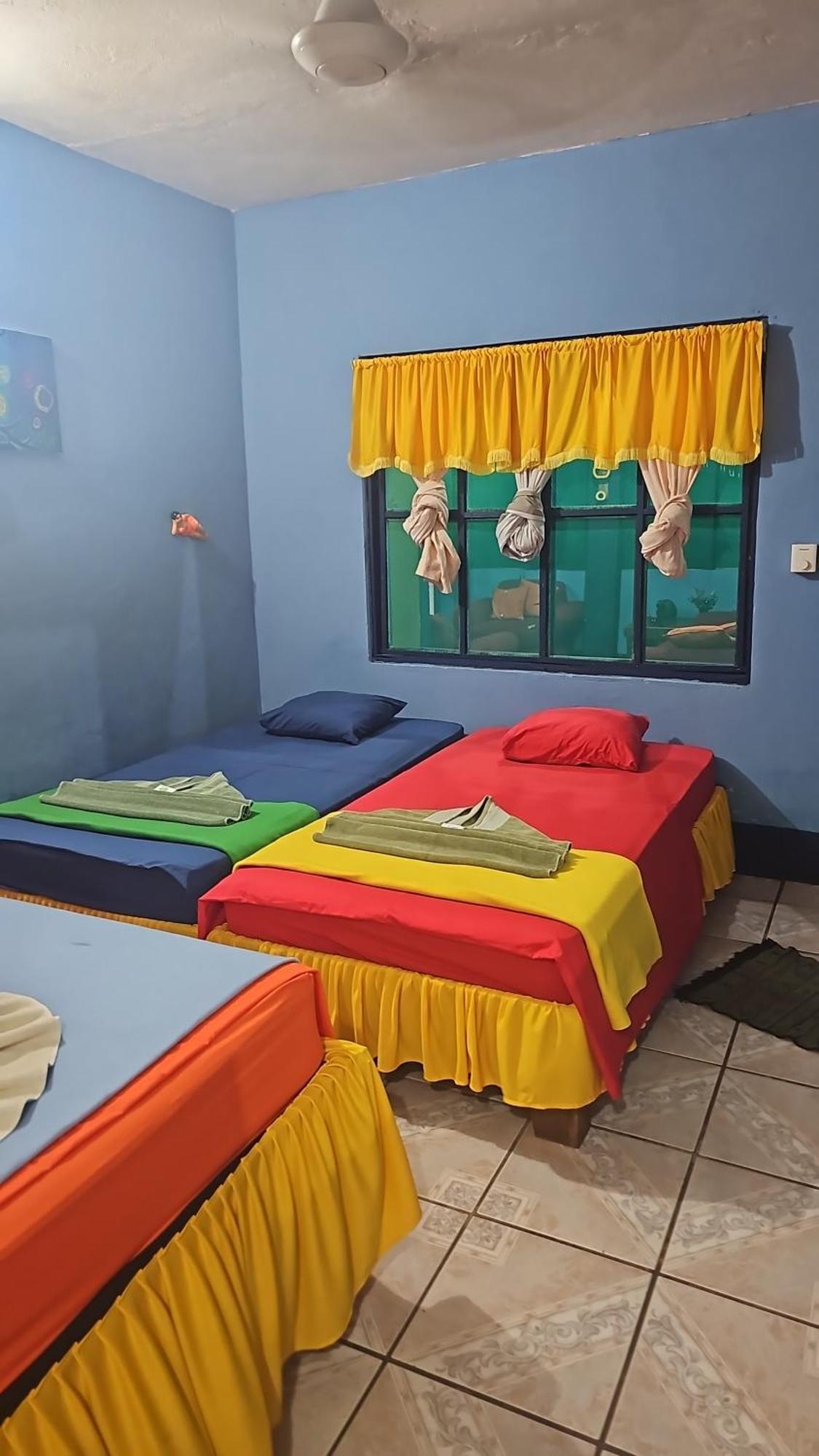 Cabinas Tortuguero Natural 외부 사진